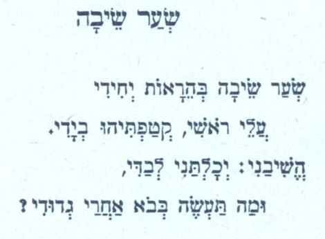 Let’s Drop The Pretense: American And Israeli Jews Have Little In Common Share No Destiny And Don’t Even Like Each Other