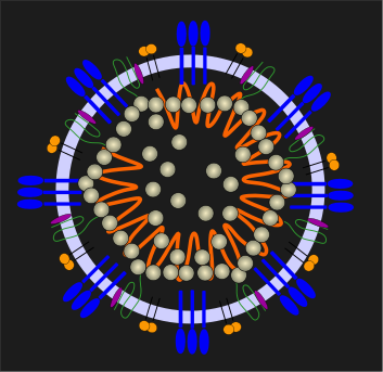 Corona Is Slowing Down, Humanity Will Survive, Says Biophysicist Michael Levitt