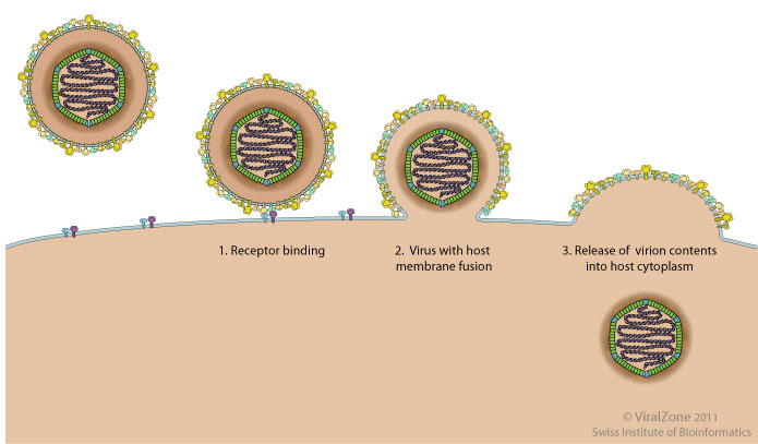 Markets Realize Coronavirus Threat To Economy Is Real...Even The Fed Or Joe Biden Can't Help