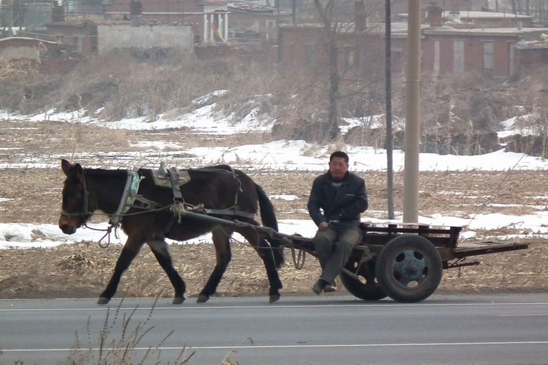 China Faces Grain Shortage As Rural Population Ages And Shrinks