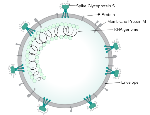 President And First Lady Test Positive For Coronavirus