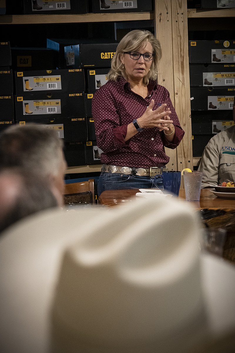 Wyoming State Legislator Chuck Gray To Challenge Rep. Liz Cheney In Republican Primary