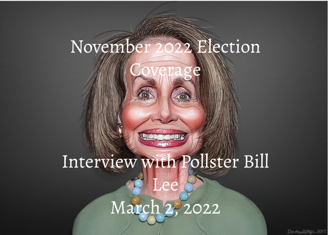 November 2022 Election Coverage - Interview With Pollster Bill Lee On Texas Primaries