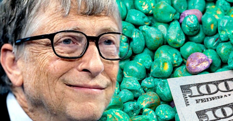 Bill Gates’ ‘Magic Seeds’ Won’t Solve World Hunger But Will ‘Create Ecological Disaster’