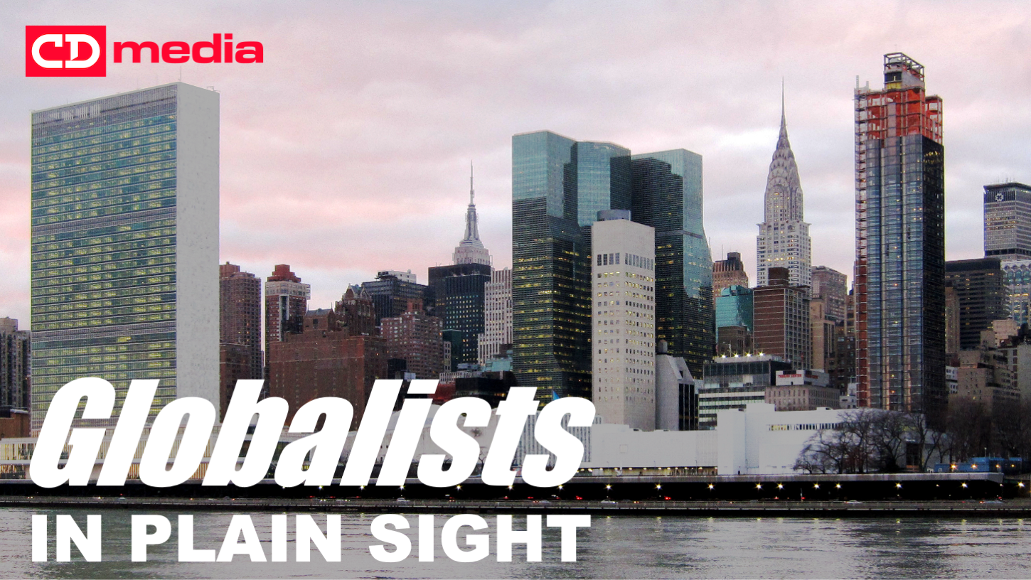 LIVESTREAM 12:30pm EST: Global Conversation IN PLAIN SIGHT With Christine Dolan And guests, Dr. Meryl Nass And Dr. David Bell 