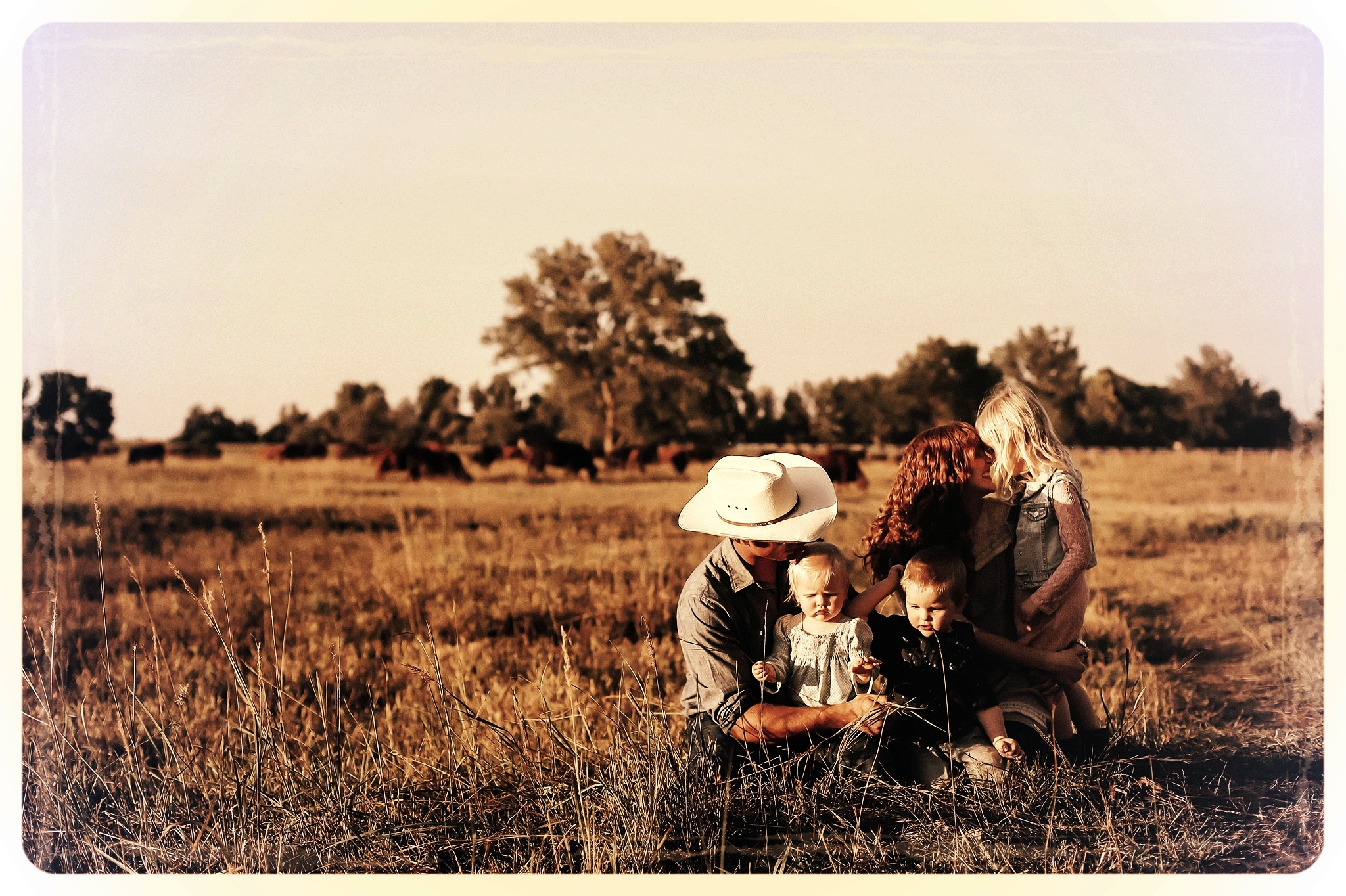 The Family Farm Beef Box! Keep mRNA Out Of Your Family's Food While Enjoying The Taste