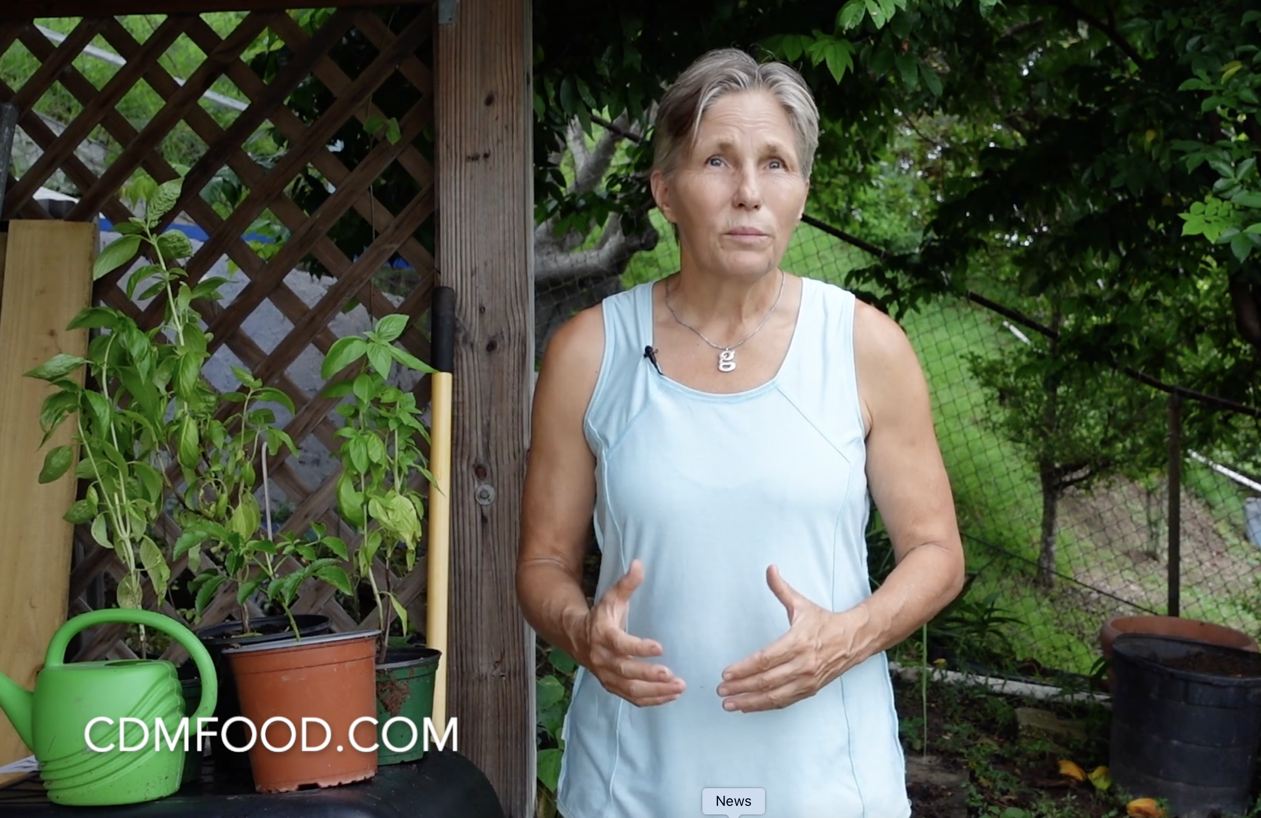 LIVE 5pm EST: American Conversations - Marjorie Wildcraft - Food Security