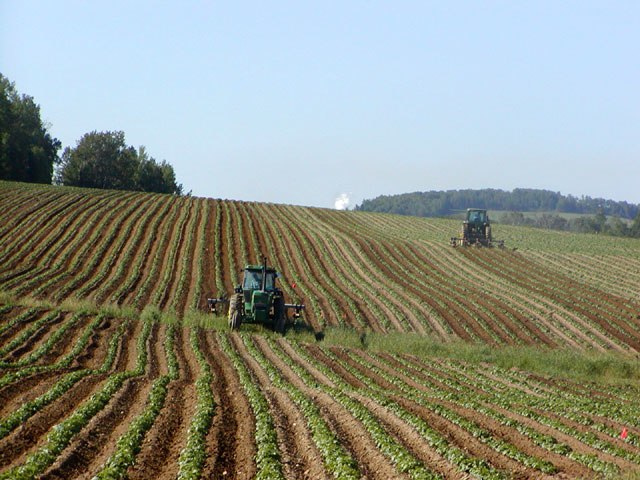 Farming To Feed Eight Billion Is A Business, Not A Hobby