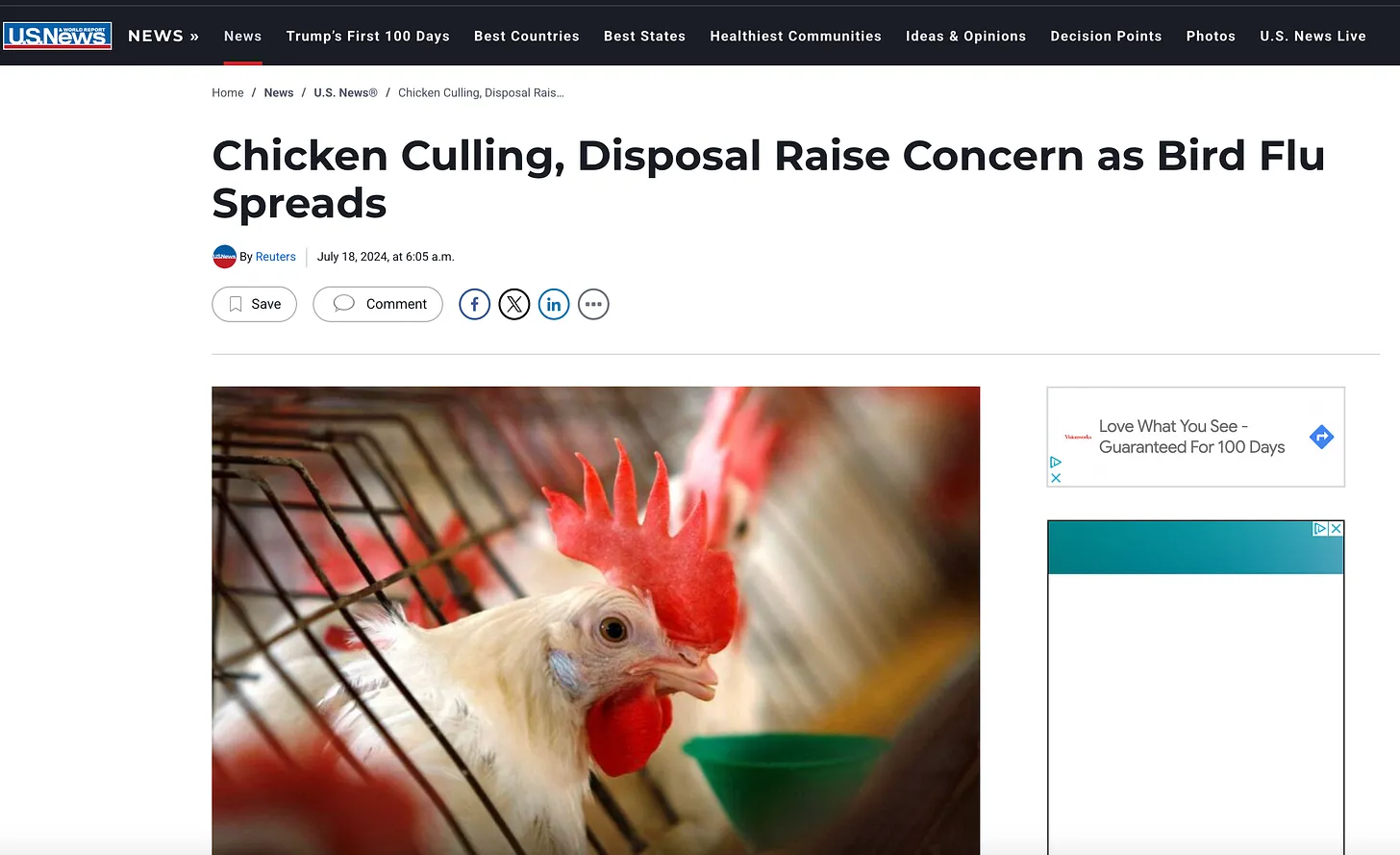 Were Biden Staffers Intentionally Creating Current Egg Shortage From Chicken Culling Program?