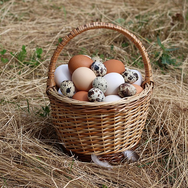 Zelenskiy Refuses To Sign Rare Earth Deal With Trump, Ukrainian Official Mocks, "We Will Send Eggs"