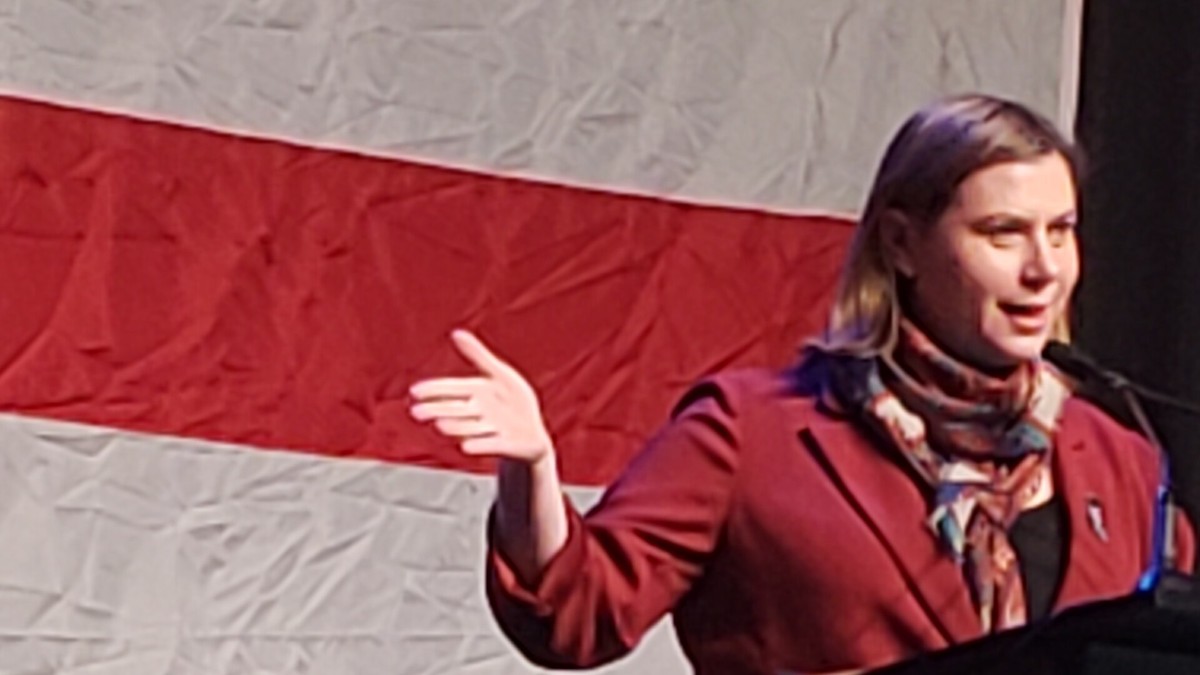 Sen. Elissa Slotkin speaking at a Michigan Democratic Party event